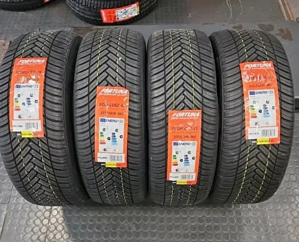 PNEUMATICI AUTO 225/55 R18 98V FORTUNA ECOPLUS2 4S M+S 4 STAGIONI - immagine 2